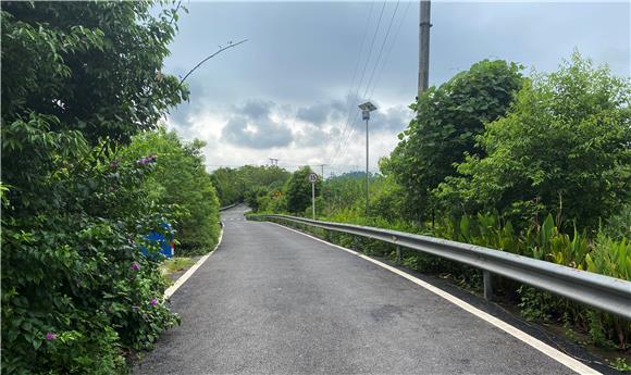 龙泉村公路主干道两旁种上了鲜花绿树。通讯员 陈刚 摄