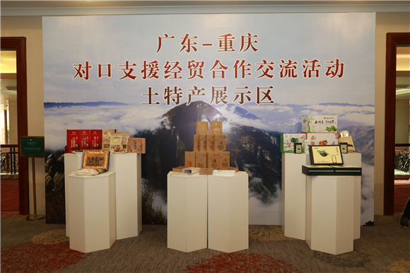广东-重庆对口支援经贸合作交流活动。巫山县招商投资事务中心供图 华龙网发