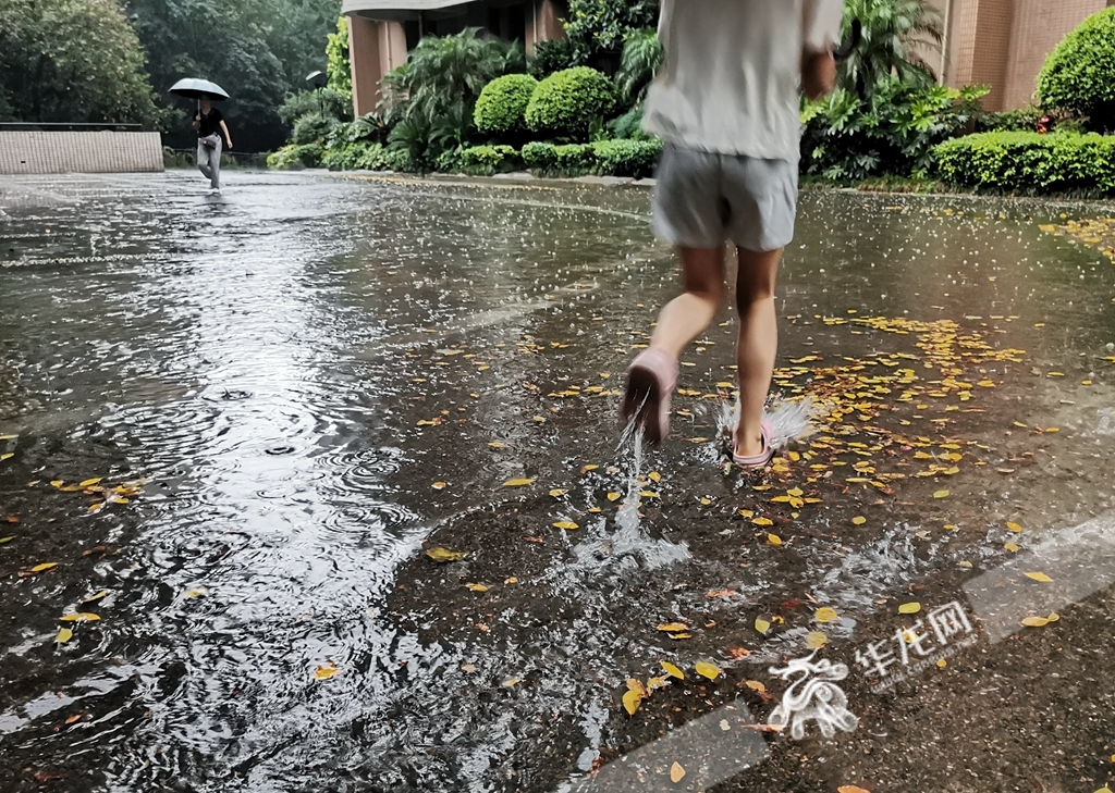 南岸区铜元局街道一小区，暴雨造成道路积水。华龙网-新重庆客户端记者 张质 摄
