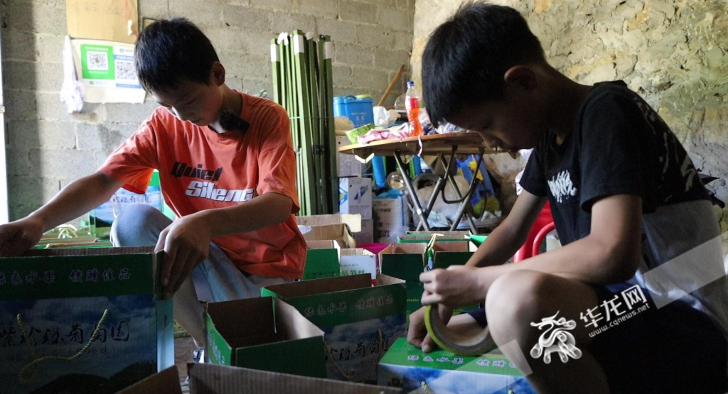 两个儿子在家帮忙打包。华龙网-新重庆客户端记者 袁舒含 摄