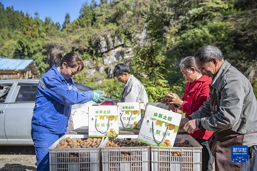 重庆南川：生态产业助农增收(图1)