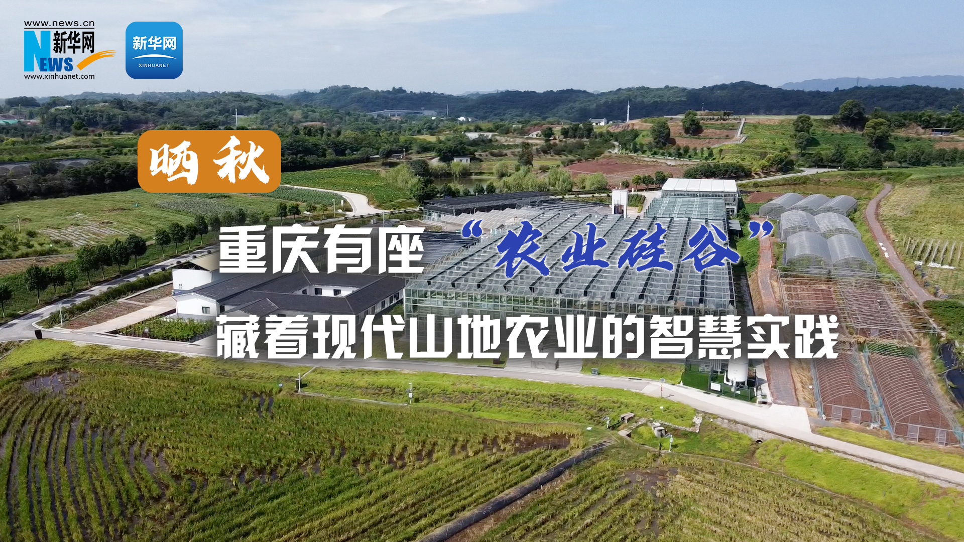晒秋｜重庆有座“农业硅谷” 藏着现代山地农业的智慧实践