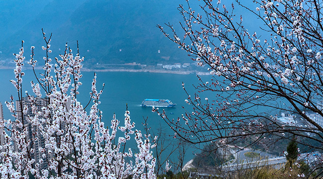 長江三峽春景如畫