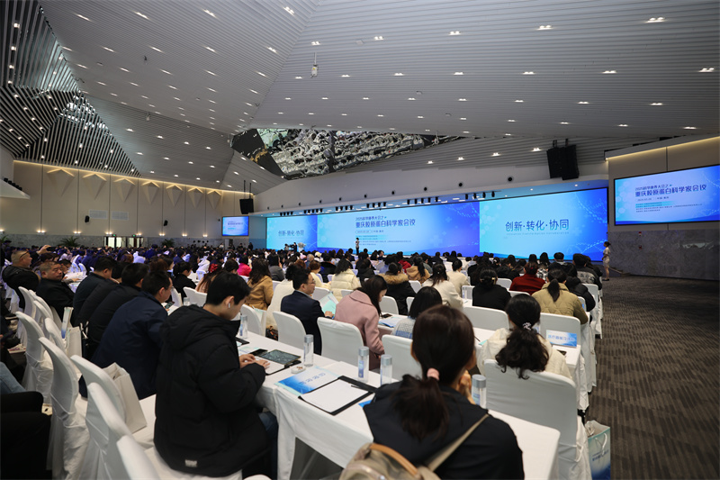 2025科学康养大会之重庆胶原蛋白科学家会议现场。江北区委宣传部供图 第1眼TV-华龙网发