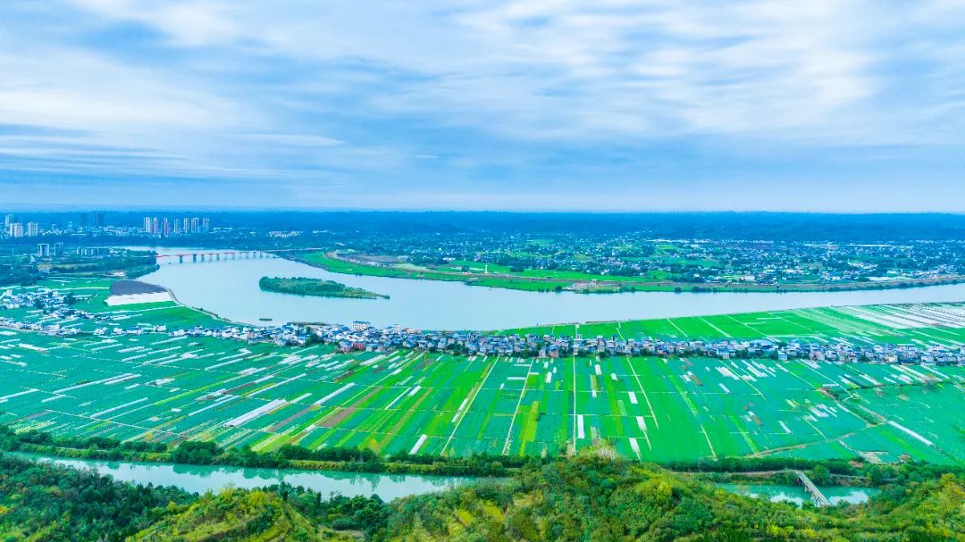 蔬菜基地  王华侨.jpg