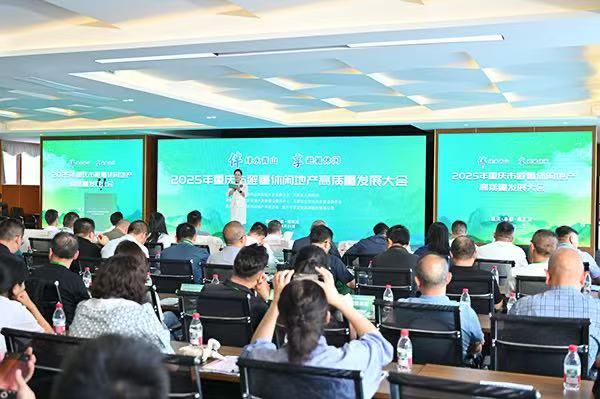 2025年重庆市避暑休闲地产高质量发展大会在丰都县南天湖举行。林心雨摄