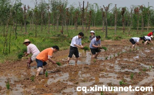 重庆荣昌人口_重庆荣昌发生3.5地震 暂无人员伤亡报告