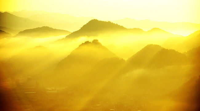 大美视角！重庆金银山国家森林公园晨雾之光