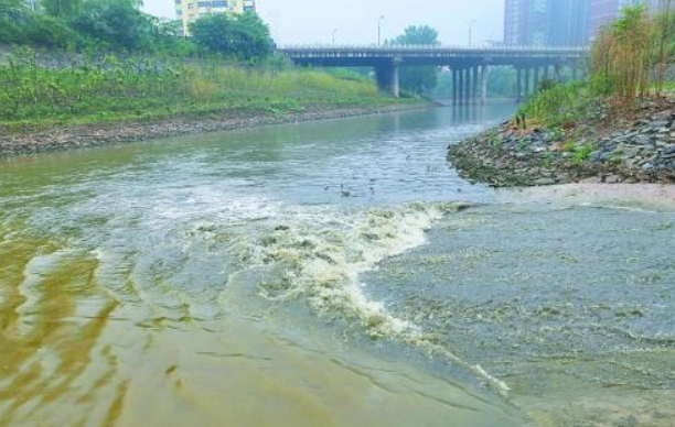 重庆市人大常委会启动评议市政府水污染防治工作