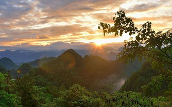 重庆南山 保护绿色“肺叶”筑牢生态屏障