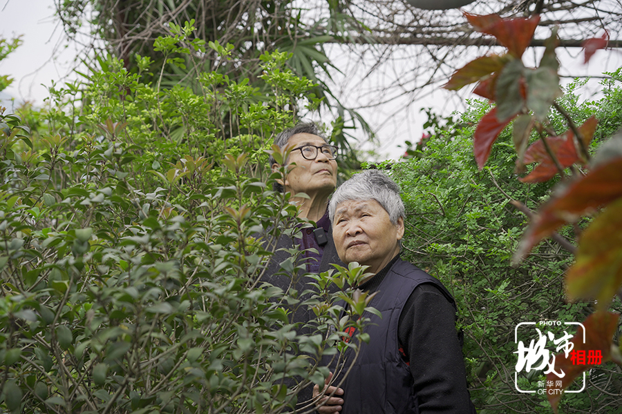李雅容和妻子蔣文珍就是這座“空中食堂”的主人。老兩口一直很喜歡種花養草，1990年搬到現在這個家時就特意選了頂樓，並在樓頂平臺打造了一個約160平米的露天花園。新華網 翟亦平 攝 劉文靜 文