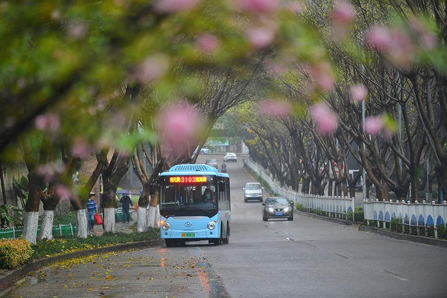 春日小巷公交 幸福城市“微迴圈”