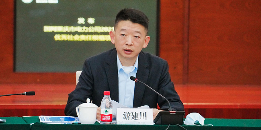 国网重庆市电力公司副总工程师游建川主持本次活动