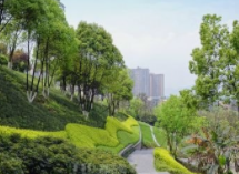 2025年 重庆中心城区人均公园绿地将达14.8平方米