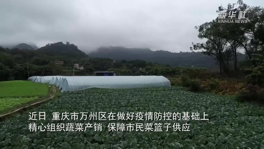 重庆：建立绿色通道 保障菜篮子供应