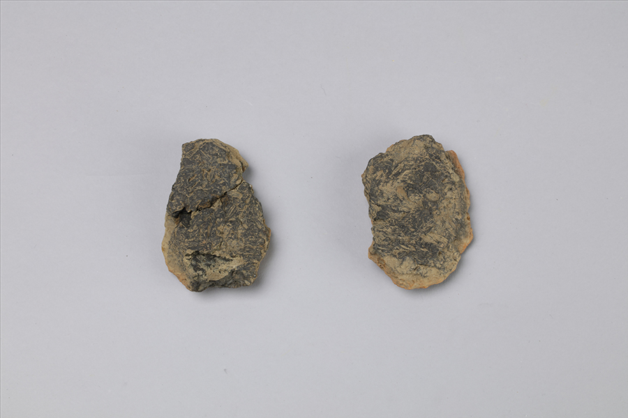 5100年前的水稻標本，出土于雲陽大地坪遺址。（藏于重慶中國三峽博物館）