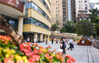 玉兰花开吐芬芳 ——走进重庆市涪陵中心医院