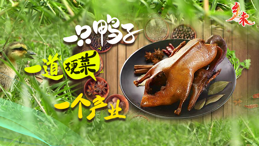 乡味｜重庆梁平：一只鸭子 一道“硬菜” 一个产业