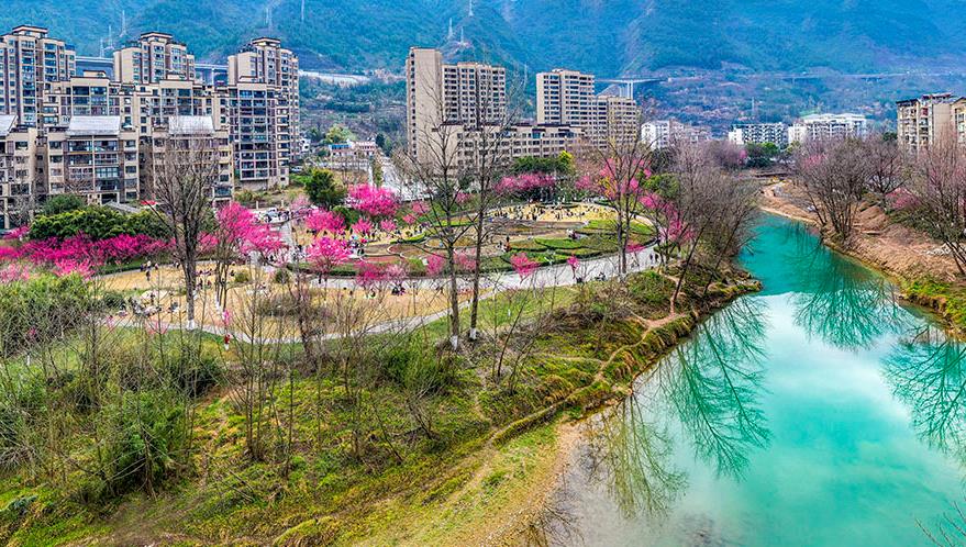 去看最美的春天丨重庆巫溪：柏杨河沿岸添春色