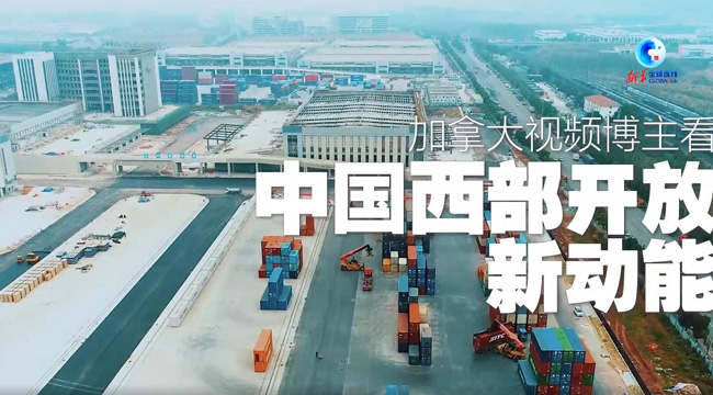 全球连线｜加拿大视频博主看中国西部开放新动能