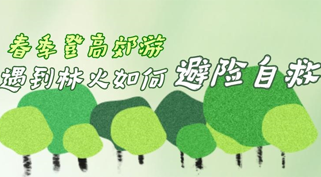 国际森林日丨春季登高郊游，遇到林火如何避险自救？