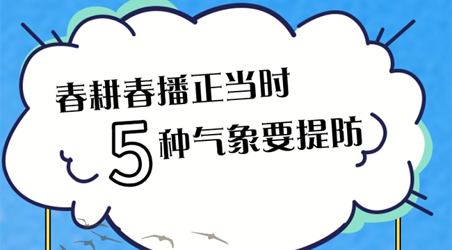 世界气象日丨春耕春播正当时 5种气象要提防
