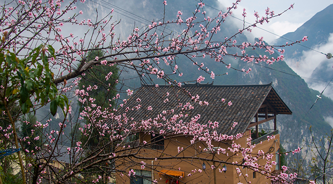 去看最美的春天丨春日下庄村 诗意小景致