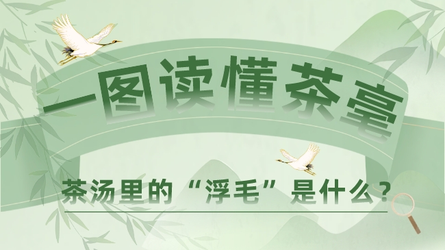 茶汤里的“浮毛”是什么？带你一图读懂茶毫