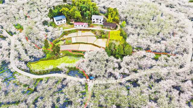 美丽乡村入画来