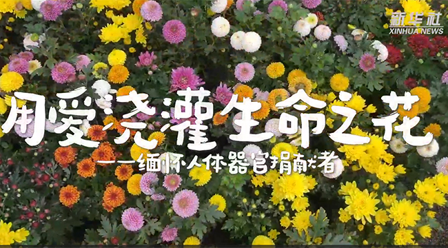 用爱浇灌生命之花——缅怀人体器官捐献者