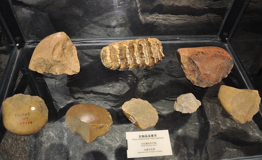 丰都井水湾遗址出土的旧石器时代象牙和石制品，距今约5万年，现藏于重庆中国三峡博物馆。