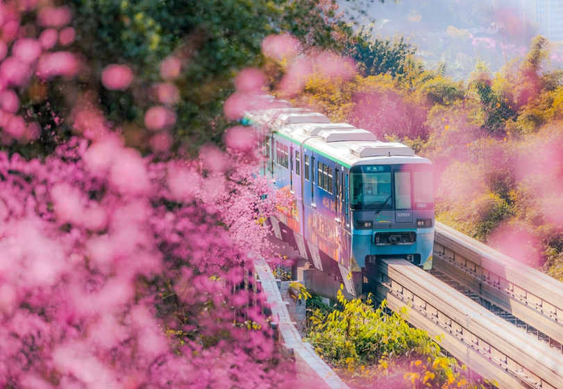 第二屆軌道交通攝影大賽二等獎《開往春天裏的列車》