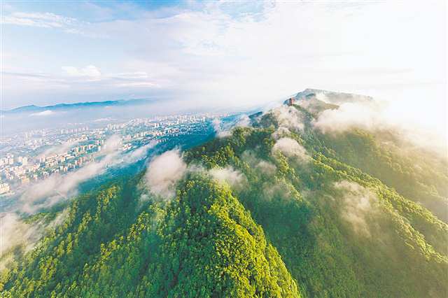 复合利用林地空间 森林增绿又增收 重庆市集体林权改革唤醒群山-新华网